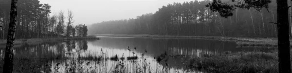 Uitzicht Het Bos Mist Het Meer Herfst Landschap Van Een — Stockfoto