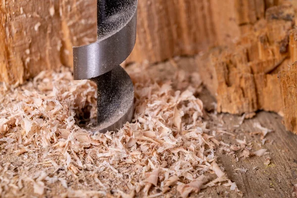 Bir matkapla çiğ ahşap delik açmak. Atölyedeki marangoz aksesuarları. Hafif arkaplan.