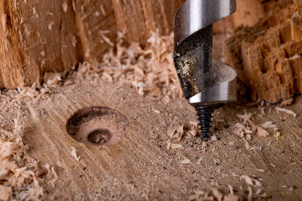Bir matkapla çiğ ahşap delik açmak. Atölyedeki marangoz aksesuarları. Hafif arkaplan.