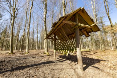 Ormanda duran ahşap boş beslenme rafı. Vahşi hayvanlar için beslenme yeri. Bahar mevsimi.