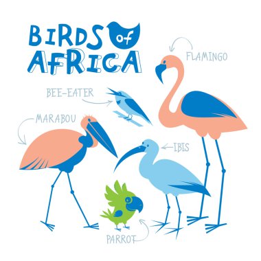 Afrika kuşları düz tarzda çizilmiş kümesi