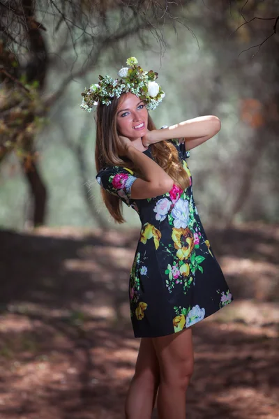 Woman and olive forest — Stock Photo, Image