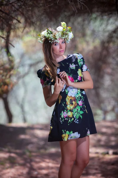 Woman and olive forest — Stock Photo, Image