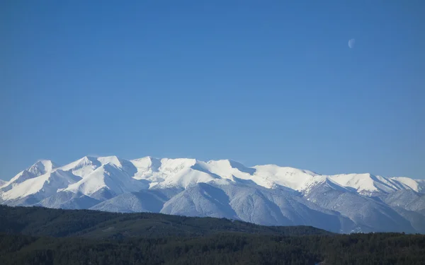 Blue mountain Pirin — Stock Photo, Image