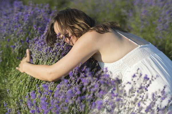 Bed van lavendel — Stockfoto