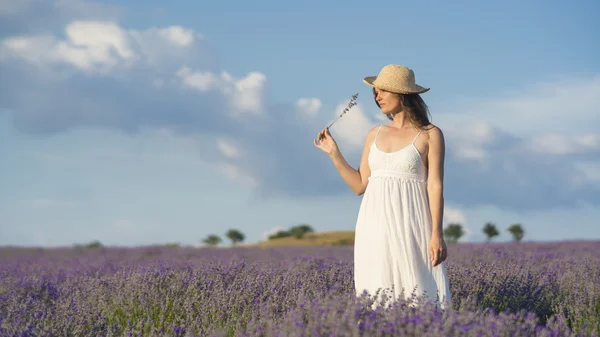 Serenidad en un campo de lavanda — Foto de Stock