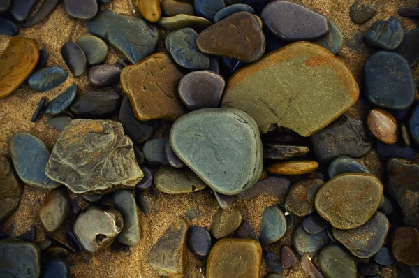 Seixos na praia — Fotografia de Stock