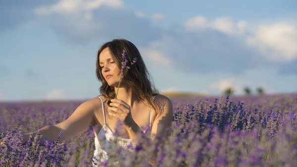 Disfrutando de la lavanda — Foto de Stock