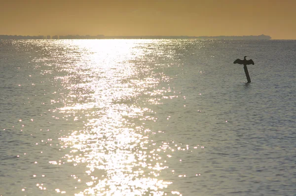 Sunrise at the sea — Stock Photo, Image