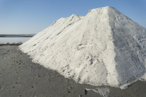 Sea salt — Stock Photo, Image