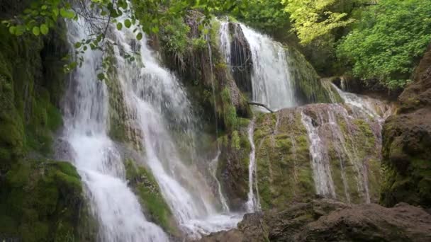 Cascada del bosque — Vídeo de stock