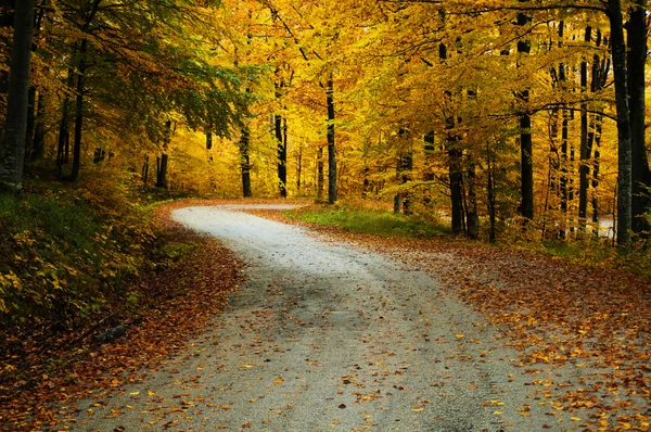 Gouden herfst straat — Stockfoto