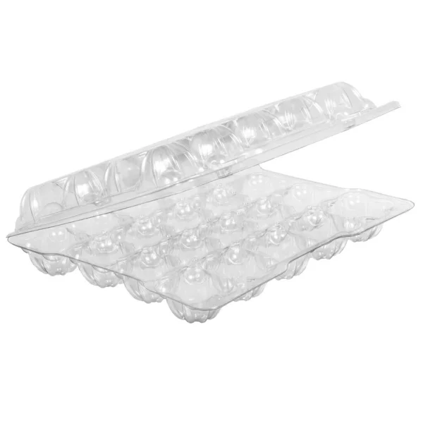 Transparente Plastikverpackung Leer Für Eier Auf Weißem Hintergrund — Stockfoto