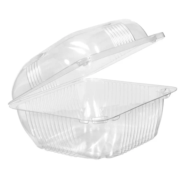 Återanvändbar Plast Transparent Låda För Hämtning Picknick Eller Lagra Mat — Stockfoto