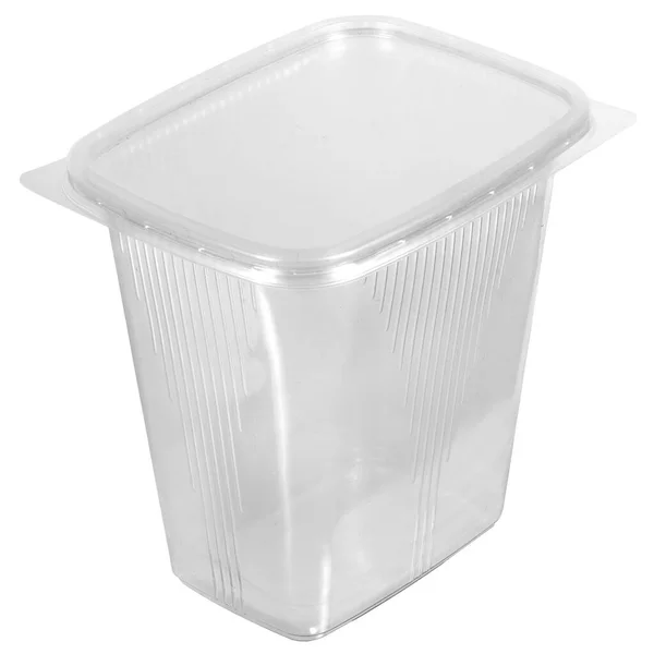 Caja Transparente Plástico Reutilizable Para Comida Para Llevar Picnic Ensalada — Foto de Stock