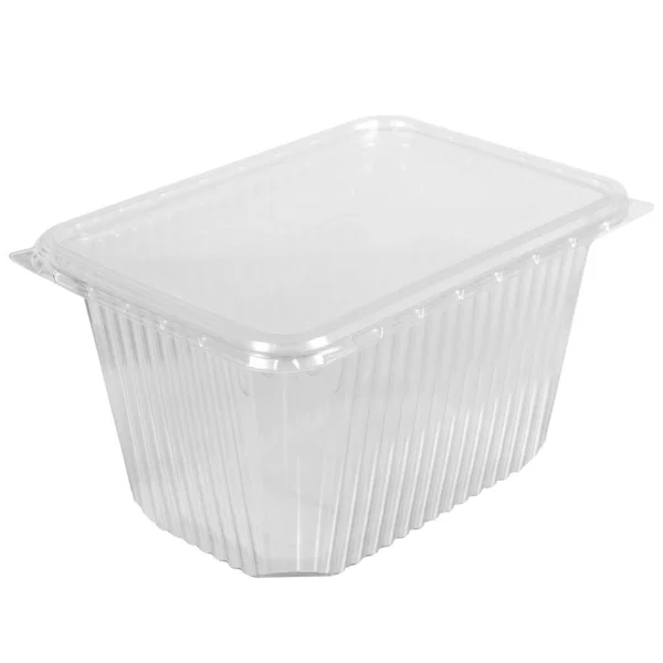 Boîte Transparente Plastique Réutilisable Pour Plats Emporter Pique Nique Salade Image En Vente