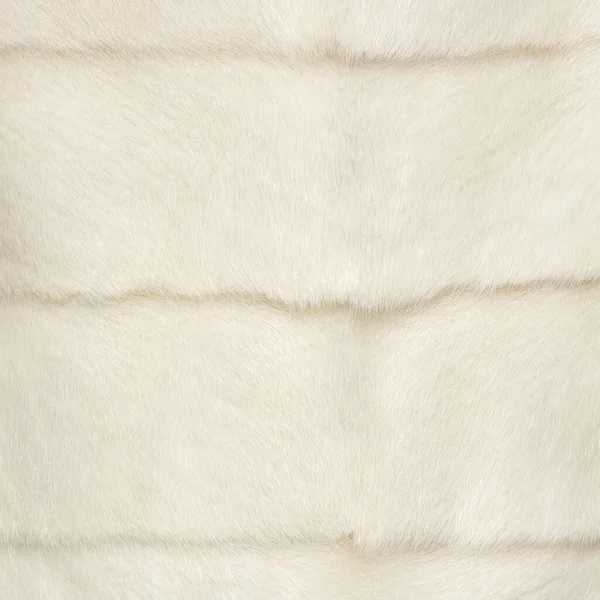 Легкий Мех Шубе Шинный Дорогой Узор Текстурированными Волосами — стоковое фото