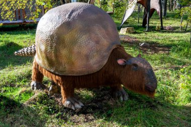Rusya, Moskova - 29 Eylül 2018: Tarih öncesi soyu tükenmiş armadillo Glyptodont. Buzul Çağı canavarının gerçek boyutlarda bir modeli..