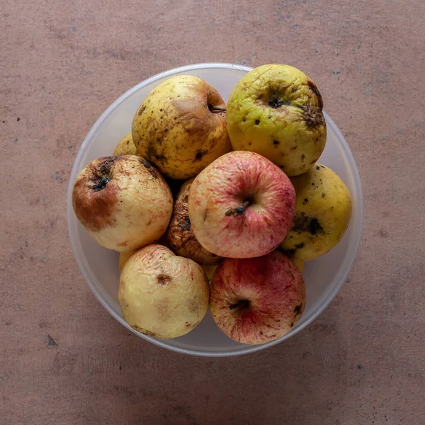 Several Wrinkled Wilted Apples Yellow Cured Red Bowl Floor — Stock Photo, Image