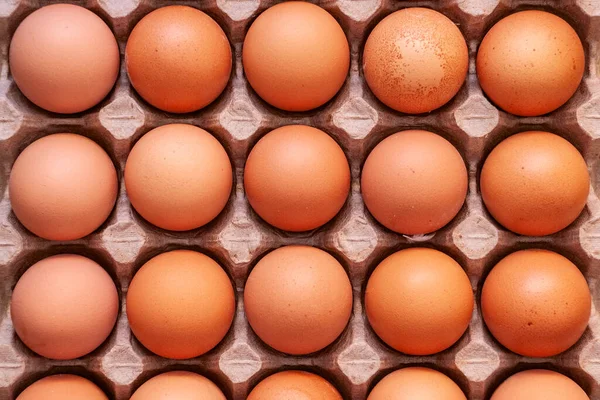Fresh Raw Chicken Eggs Cardboard Box Brown Top View Fifteen — Stock Photo, Image