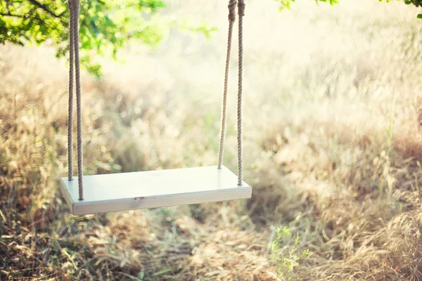 The swing — Stock Photo, Image