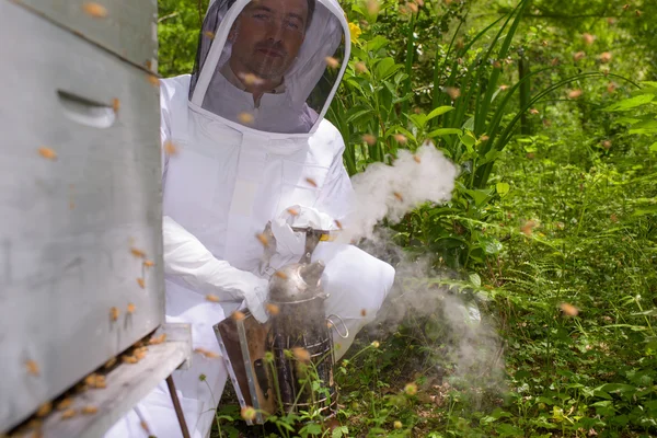 Verwendung eines Bienenrauchers — Stockfoto