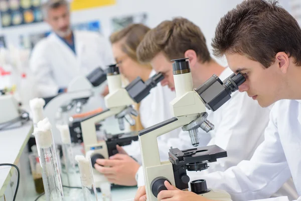 Observación bajo el microscopio — Foto de Stock