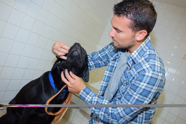 Homem, cão e homem — Fotografia de Stock