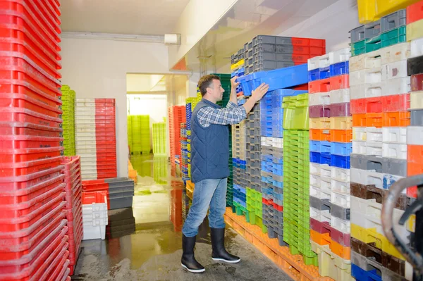 Muchas cajas de plástico y de mediana edad — Foto de Stock