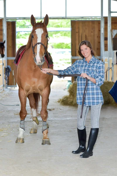 Vrouw en een paard — Stockfoto