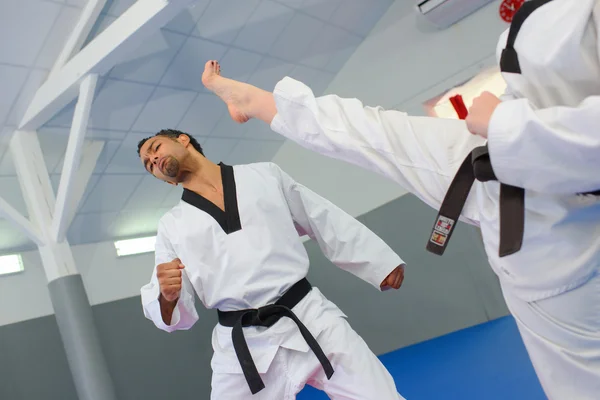 Martial artists and action — Stock Photo, Image