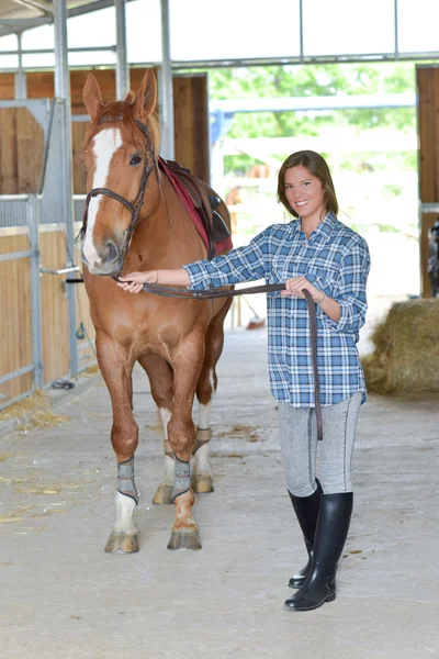 Jonge vrouw en een paard — Stockfoto