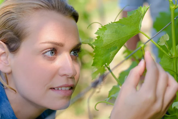 Winzer und junge Schöne — Stockfoto