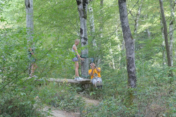 Tree Zipline Experience — Stock Photo, Image