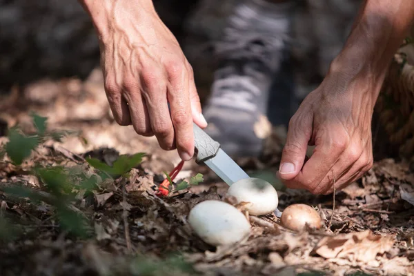 Uomo Caccia Funghi — Foto Stock