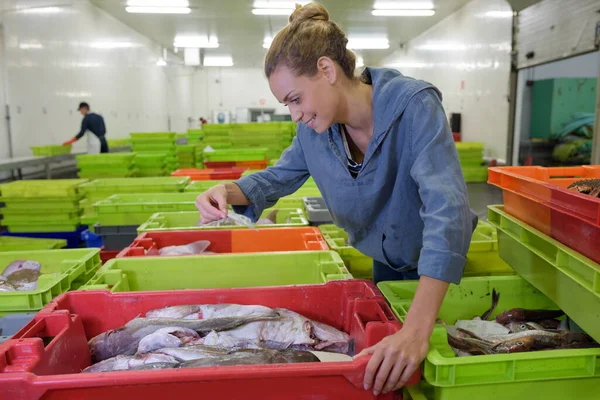 女性の魚の卸売業者の閉鎖 — ストック写真