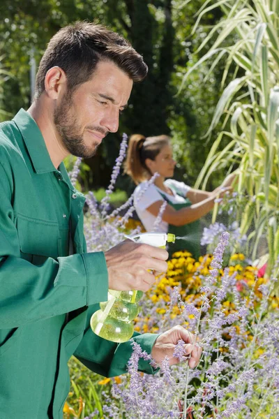 男人在种植园里施放智慧杀虫剂 — 图库照片