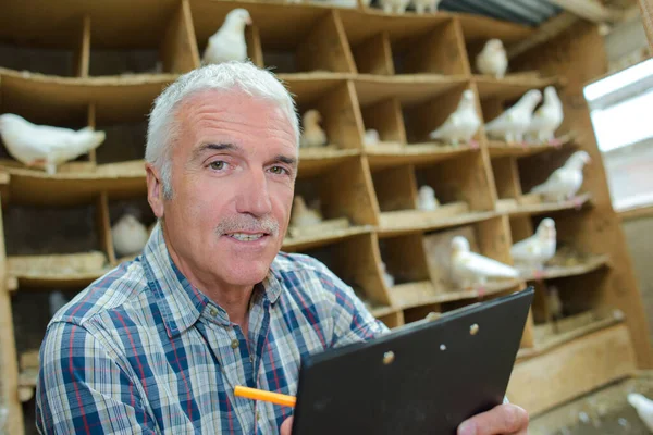 Pigeon Keeper Taking Record — Stock Photo, Image
