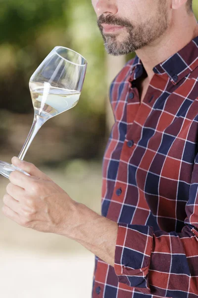 Hombre Guapo Sosteniendo Una Copa Vino Blanco —  Fotos de Stock