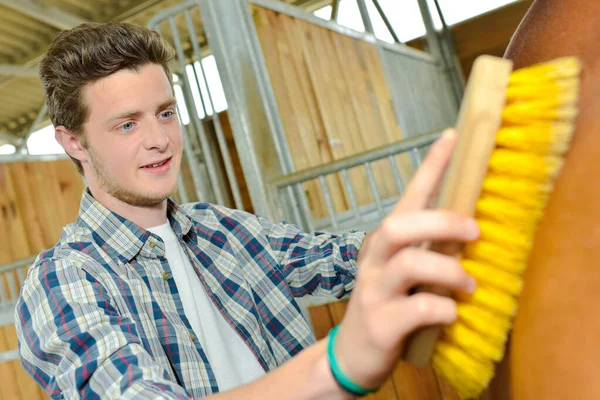 Een Jonge Man Paardenverzorger — Stockfoto