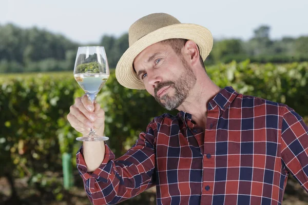 Man Examining Wineglass Vineyard — Stock Photo, Image