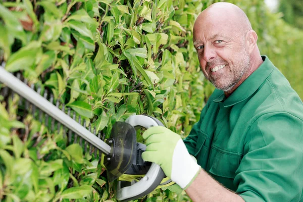 Hombre Maduro Feliz Corte Setos Con Trimmer Electrónico Durante Jardinería —  Fotos de Stock