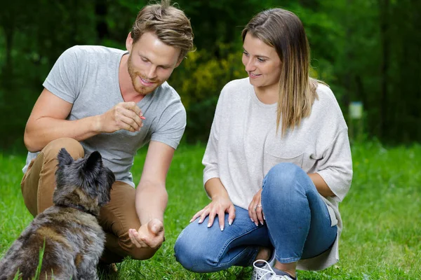 Casal Brincando Com Cão Parque — Fotografia de Stock