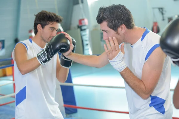 Spor Salonunda Boks Günü — Stok fotoğraf