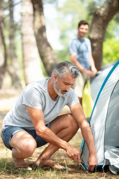 Man Pusing Tent Pinnen Het Gras — Stockfoto