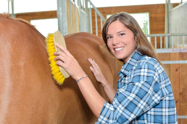 Femme Heureuse Toilettant Cheval — Photo