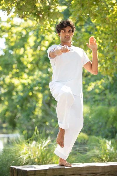 Tai Chi Chuan Maître Séance Entraînement Dans Parc — Photo