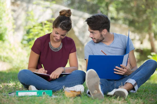 Pareja Estudiantes Con Cuaderno Aire Libre —  Fotos de Stock