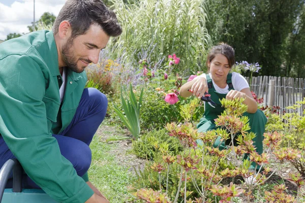 Hombre Mujer Jardinería Juntos Jardín —  Fotos de Stock