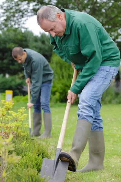 Man Graaft Een Gat — Stockfoto